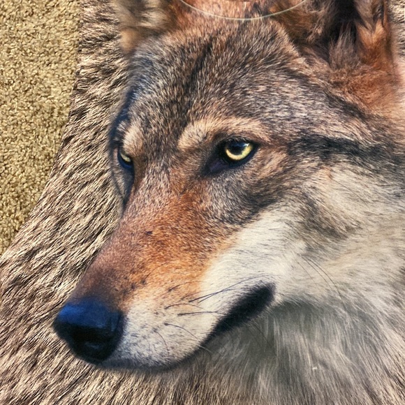 Cute Top! Wolf print - Picture 2 of 5